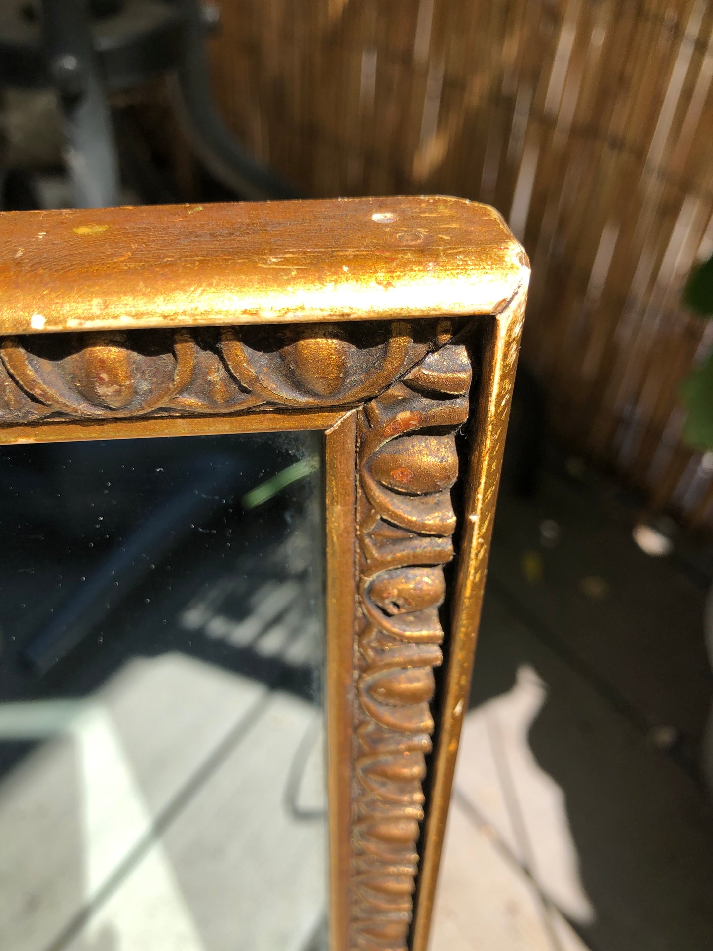 Vintage Gold Frame Rectangular Mirror with "Bug Fossil"