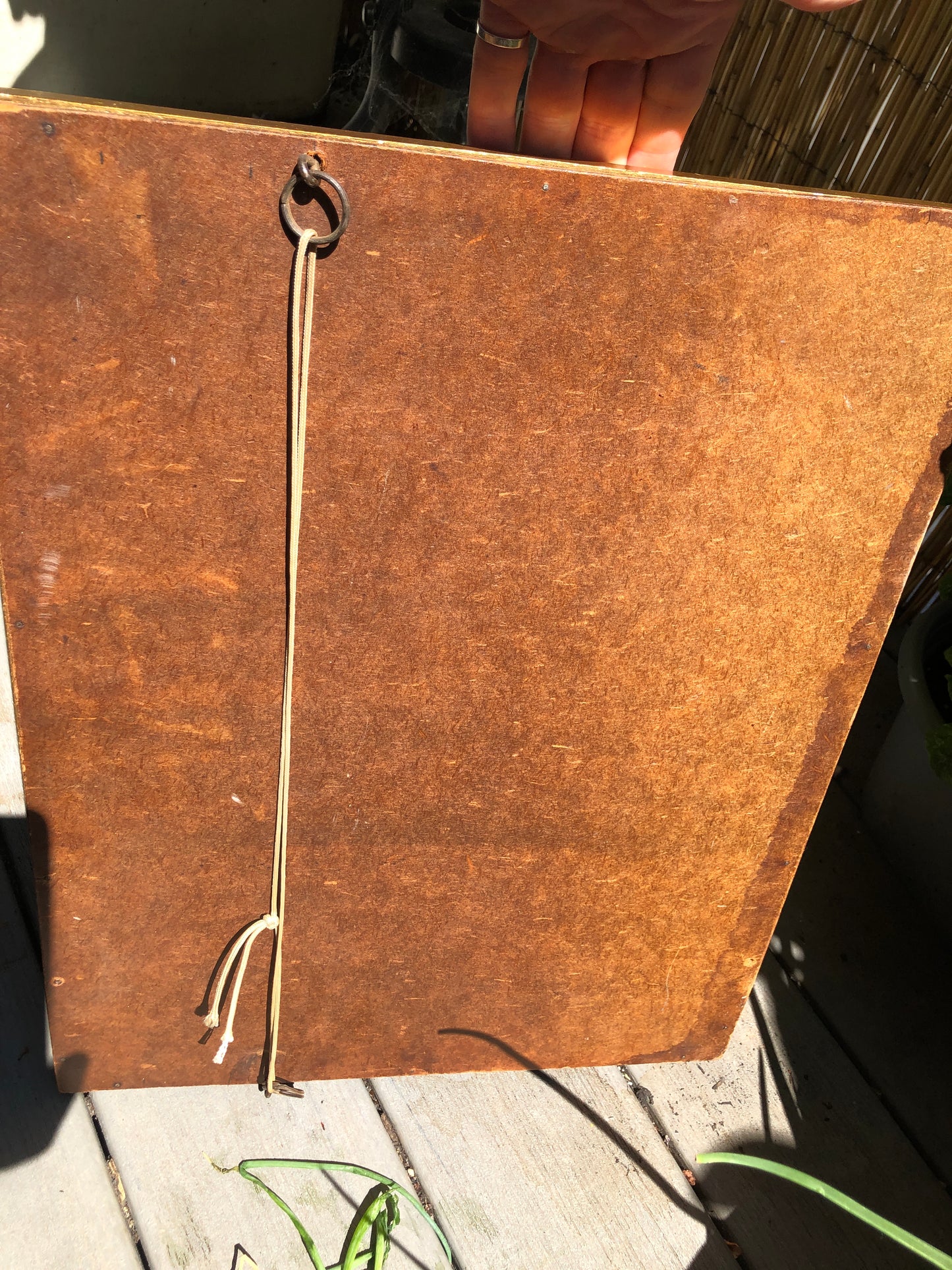Vintage Gold Frame Rectangular Mirror with "Bug Fossil"