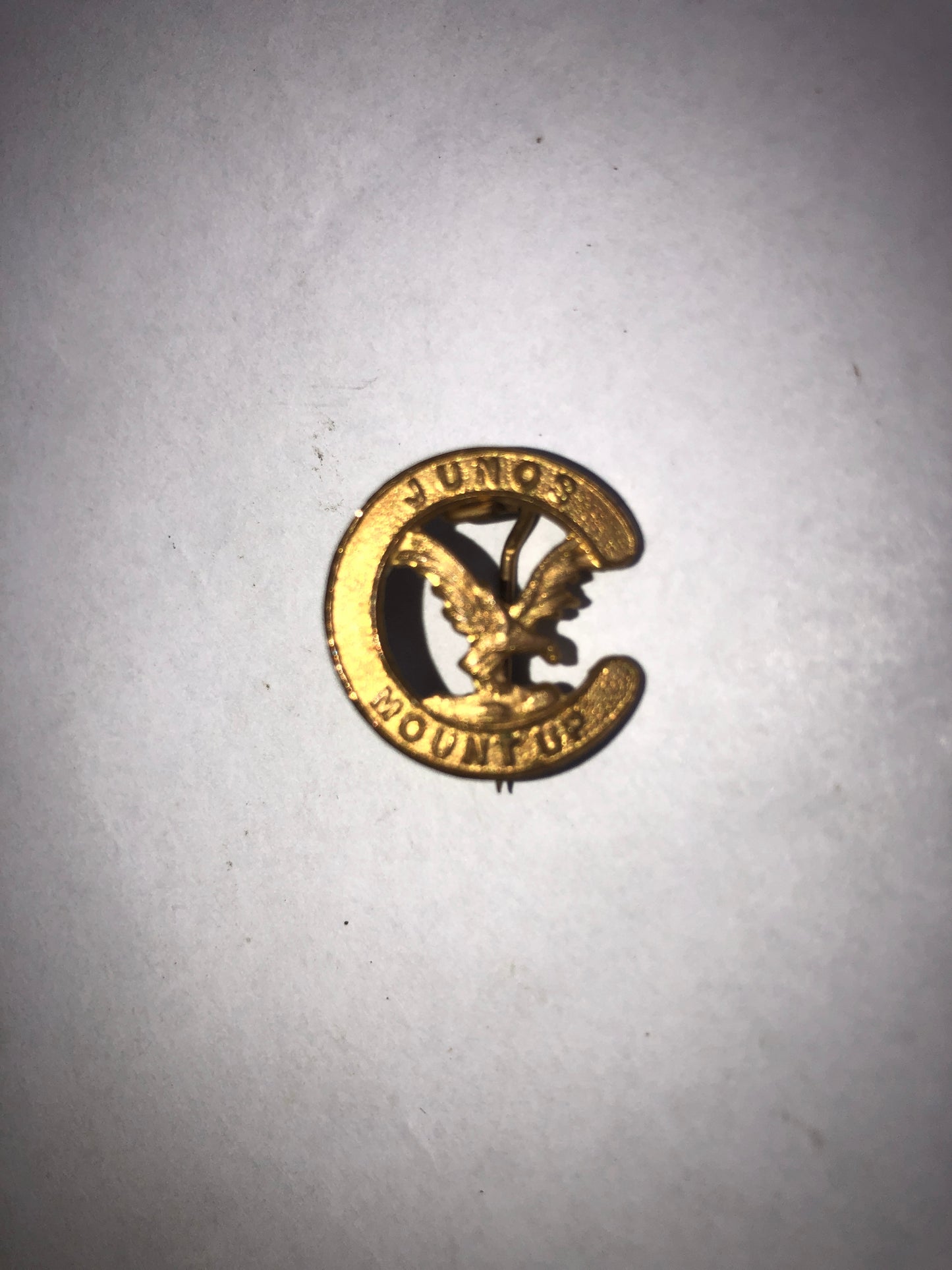 St. Andrew University O.T.C. Cap Badge