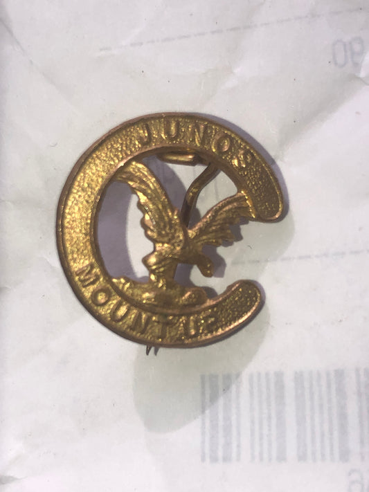 Vintage 'Junior Mount Up' Eagle Badge