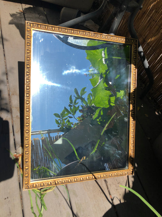 Vintage Gold Frame Rectangular Mirror with "Bug Fossil"