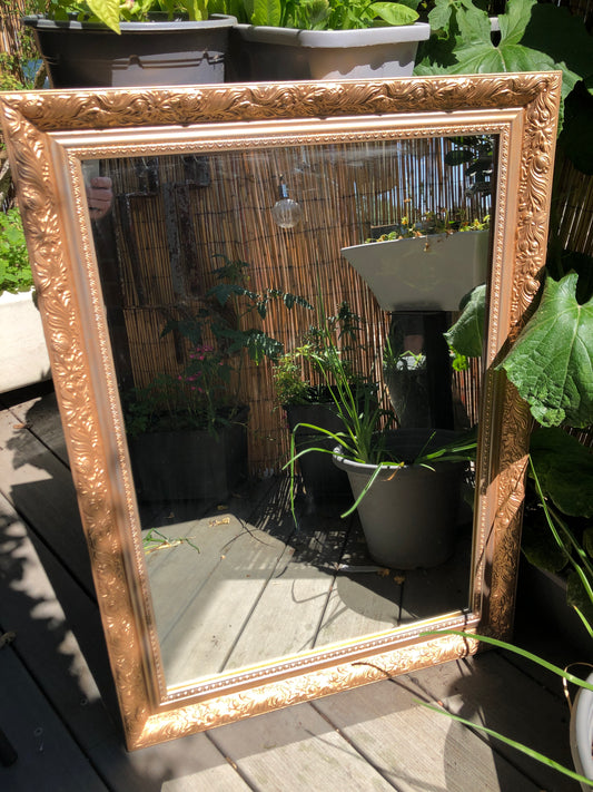 Vintage Ornate Gold Frame Rectangular Mirror